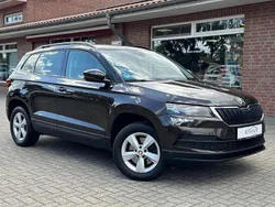 Braun Gebraucht 2020 Skoda Karoq Ambition SUV | 13.499 € (Guter Preis)