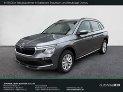 Graphitegrau metallic Neu 2025 Skoda Kamiq Selection SUV | 26.990 € (Guter Preis)