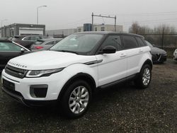 Weiß Gebraucht 2016 Land Rover Range Rover evoque Pure SUV | 12.850 € (Etwas zu teuer)