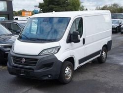 Andere Gebraucht 2020 Fiat Ducato Van | 16.999 € (Guter Preis)