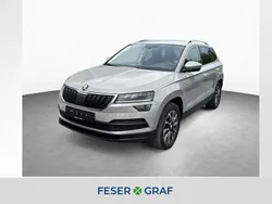 Grau Gebraucht 2020 Skoda Karoq Ambition SUV | 24.880 € (Fairer Preis)