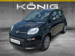 Schwarz Neu 2024 Fiat Panda Kleinwagen | 14.389 €