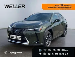 Gruen Gebraucht 2024 Lexus UX 250h Executive Line SUV | 35.990 € (Teuer)