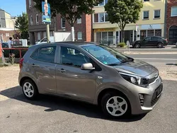 Grau Gebraucht 2019 Kia Picanto Kleinwagen | 8.390 € (Guter Preis)