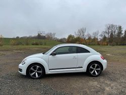 Weiß Gebraucht 2016 VW Beetle CLUB Limousine | 9.500 € (Guter Preis)