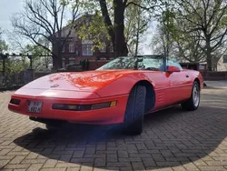 Rot Gebraucht 1991 Corvette C4 Cabrio | 19.950 €