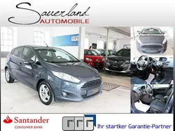 Grau Gebraucht 2015 Ford Fiesta Titanium Kleinwagen | 8.995 € (Fairer Preis)