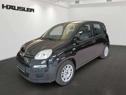 Colore interno (blau) Gebraucht 2022 Fiat Panda Kleinwagen | 10.890 € (Fairer Preis)