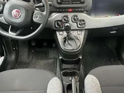 Grau Gebraucht 2023 Fiat Panda Kleinwagen | 9.350 € (Superpreis)