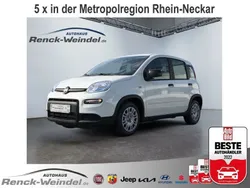 Weiss) (weiss Gebraucht 2024 Fiat Panda Kleinwagen | 14.289 € (Fairer Preis)