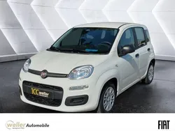 Weiss Neu 2025 Fiat Panda Kleinwagen | 14.870 € (Fairer Preis)