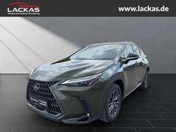 Norigrün Neu 2025 Lexus NX350h SUV | 54.749 € (Guter Preis)
