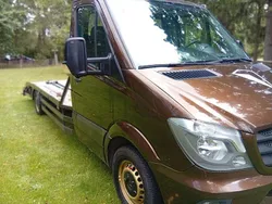 Braun Gebraucht 2006 Mercedes Sprinter Van | 13.850 €