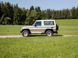 Beige Gebraucht 1992 Toyota Land Cruiser SUV | 30.000 €