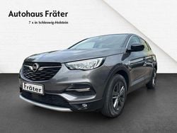 Grau Gebraucht 2020 Opel Grandland X SUV | 13.980 € (Guter Preis)