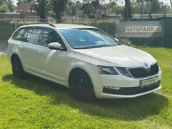 Candyweiss Gebraucht 2019 Skoda Octavia Ambition Kombi | 11.700 € (Guter Preis)