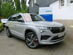 Grau Gebraucht 2024 Skoda Kodiaq RS SUV | 48.990 € (Etwas zu teuer)