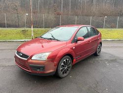 Rot Gebraucht 2005 Ford Focus Limousine | 2.200 € (Etwas zu teuer)
