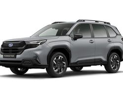 Grau Neu 2025 Subaru Forester Exclusive+ SUV | 42.400 €