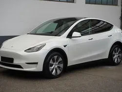 Weiß Gebraucht 2023 Tesla Model Y Long Range AWD SUV | 33.950 € (Guter Preis)