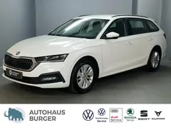 Candyweiß Gebraucht 2021 Skoda Octavia Ambition Kombi | 20.470 € (Guter Preis)