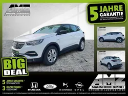 Jade weiss Gebraucht 2021 Opel Grandland X SUV | 15.990 € (Fairer Preis)