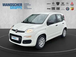 Weißschwarz Neu 2025 Fiat Panda Kleinwagen | 16.490 € (Fairer Preis)