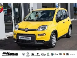 Gelb Gebraucht 2024 Fiat Panda Kleinwagen | 15.195 € (Fairer Preis)