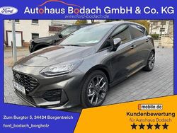 Grau Gebraucht 2023 Ford Fiesta ST-Line Kleinwagen | 19.990 € (Fairer Preis)