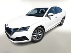 Candy white Gebraucht 2022 Skoda Octavia Style | 22.586 € (Superpreis)