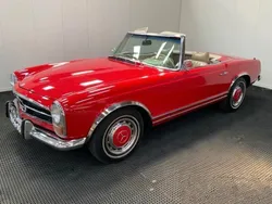 Rot Gebraucht 1971 Mercedes SL280 Cabrio | 95.000 €