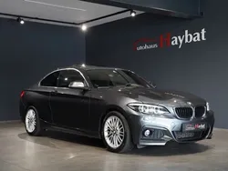 Grau Gebraucht 2017 BMW 220 M Sport Coupé | 23.450 € (Etwas zu teuer)
