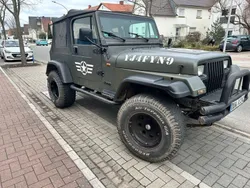 Grün Gebraucht 1995 Jeep Wrangler SUV | 14.900 €