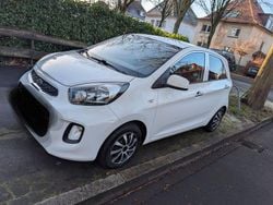 Weiß Gebraucht 2015 Kia Picanto Kleinwagen | 6.500 € (Guter Preis)
