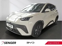 Weiß Neu 2025 BYD Dolphin Comfort Kleinwagen | 31.640 €