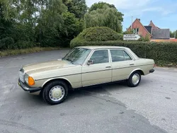 Grün Gebraucht 1983 Mercedes E200 Limousine | 8.900 €