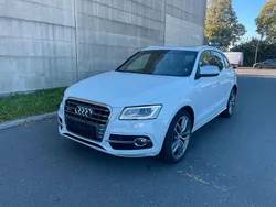 Weiß Gebraucht 2014 Audi SQ5 Comfort SUV | 14.999 € (Guter Preis)
