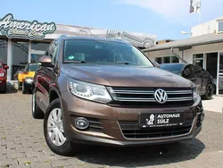 Braun Gebraucht 2013 VW Tiguan Sportline SUV | 15.999 € (Fairer Preis)
