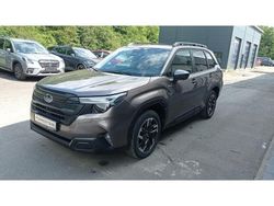Braun Neu 2025 Subaru Forester Exclusive+ SUV | 40.990 € (Guter Preis)