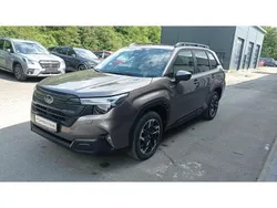 Braun Neu 2025 Subaru Forester Exclusive+ SUV | 45.670 € (Etwas zu teuer)