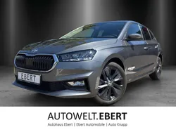 Graphitegrau Gebraucht 2024 Skoda Fabia Selection Kleinwagen | 20.380 € (Etwas zu teuer)