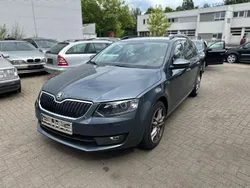 Grau Gebraucht 2017 Skoda Octavia Joy Kombi | 12.500 € (Guter Preis)