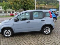 Grau Gebraucht 2023 Fiat Panda City Life Kleinwagen | 14.550 € (Teuer)