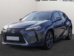 Grau Gebraucht 2021 Lexus UX 250h Luxury Line SUV | 31.990 € (Teuer)