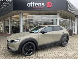 Grau Neu 2024 Mazda CX-30 SUV | 32.960 €