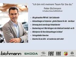 Grau Gebraucht 2020 Skoda Karoq Drive SUV | 19.990 € (Guter Preis)