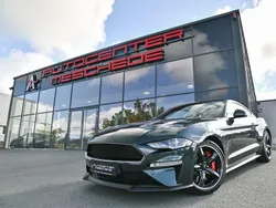 Grün Gebraucht 2019 Ford Mustang Bullitt Coupé | 50.890 € (Etwas zu teuer)