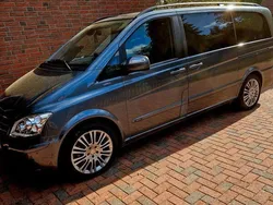 Mercedes Viano