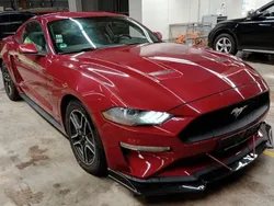 Rot Gebraucht 2020 Ford Mustang Performance Edition | 19.900 €