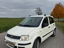 Weiß Gebraucht 2010 Fiat Panda Kleinwagen | 1.850 € (Fairer Preis)